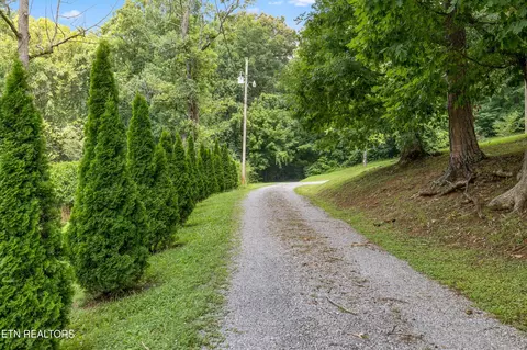 288 Mountain View Rd, Heiskell, TN 37754 photo 32