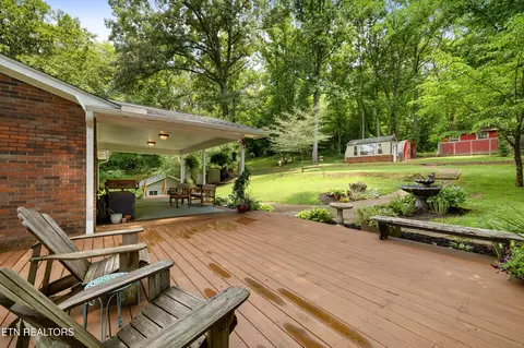 288 Mountain View Rd, Heiskell, TN 37754 photo 10