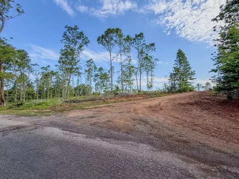 0 Upper Standing Rock Rd, Dover, TN 37058 photo 5