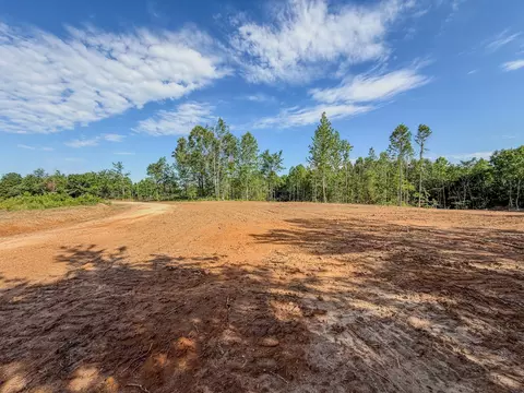 0 Upper Standing Rock Rd, Dover, TN 37058 photo 11