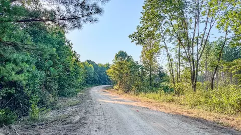 0 Highway 232, Dover, TN 37058 photo 15
