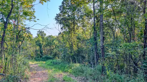 0 Highway 232, Dover, TN 37058 photo 16