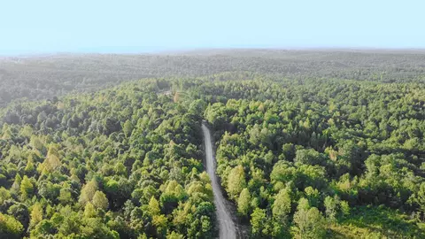0 Highway 232, Dover, TN 37058 photo 6