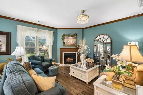 Living - 3027 Obion Pass, Spring Hill, TN 37174 photo 3 of 6