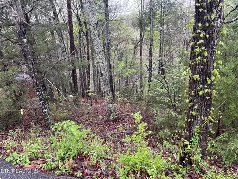 1 Mountain View Dr, Pigeon Forge, TN 37863