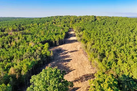 0 Williams Grove Rd, Camden, TN 38320