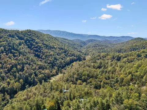 Other - 1243 Carrs Creek Rd, Townsend, TN 37882 photo 21 of 23