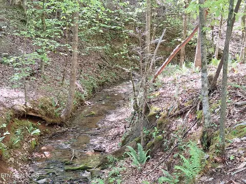 0 Payne Rd, Tellico Plains, TN 37385