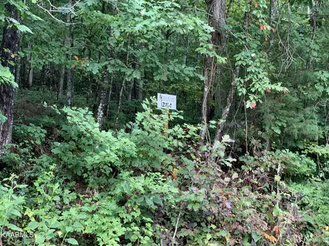 4507 Huffine Rd, Loudon, TN 37774