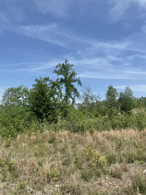 98 Saddleback Dr, Dover, TN 37058 photo 31