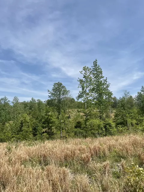 98 Saddleback Dr, Dover, TN 37058 photo 34