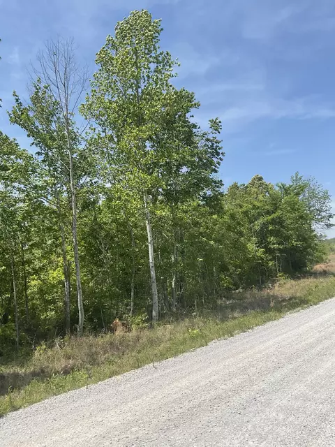 98 Saddleback Dr, Dover, TN 37058 photo 29