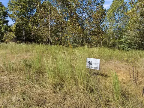 98 Saddleback Dr, Dover, TN 37058 photo 8