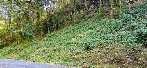 40 Black Walnut Flats Rd, Sevierville, TN 37862