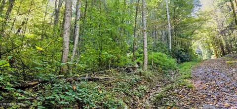 0 Balsam Slopes Rd, Sevierville, TN 37862