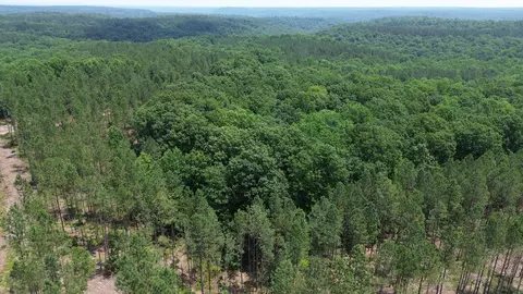 0 Mayfield Divide Rd, Centerville, TN 37033 photo 16