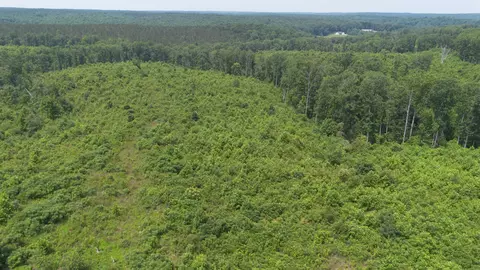 0 Mayfield Divide Rd, Centerville, TN 37033 photo 23