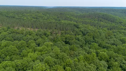 0 Mayfield Divide Rd, Centerville, TN 37033 photo 3
