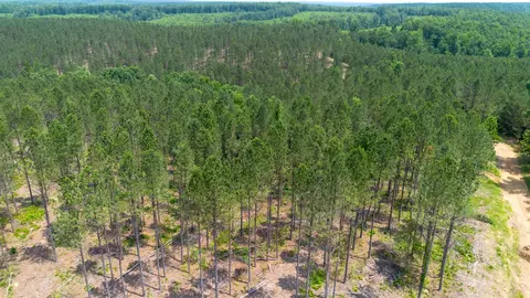 0 Mayfield Divide Rd, Centerville, TN 37033 photo 13