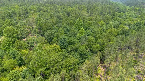 0 Mayfield Divide Rd, Centerville, TN 37033 photo 24