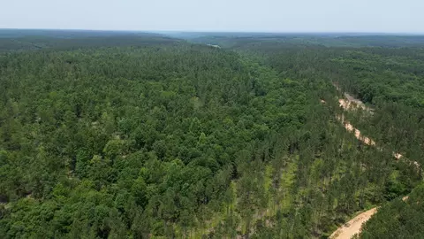 0 Mayfield Divide Rd, Centerville, TN 37033 photo 30
