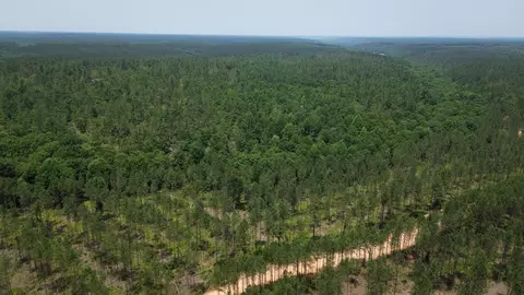 0 Mayfield Divide Rd, Centerville, TN 37033 photo 31