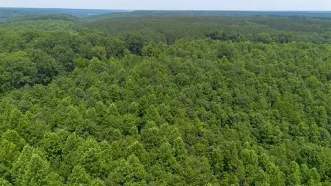 0 Mayfield Divide Rd, Centerville, TN 37033 photo 7