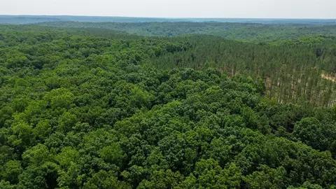 0 Mayfield Divide Rd, Centerville, TN 37033 photo 2