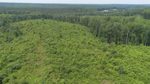 0 Mayfield Divide Rd, Centerville, TN 37033 photo 6