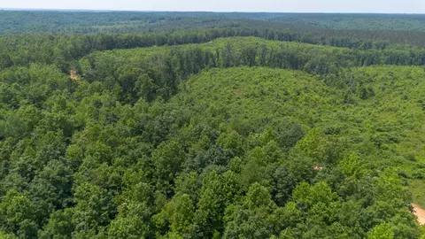 0 Mayfield Divide Rd, Centerville, TN 37033 photo 8