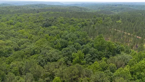 0 Mayfield Divide Rd, Centerville, TN 37033 photo 15