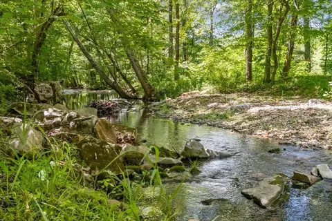 Other - 2440 Maple Grove Rd, Dickson, TN 37055 photo 33 of 37