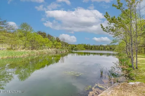67 Lady Slipper Rd, Dunlap, TN 37327 photo 11