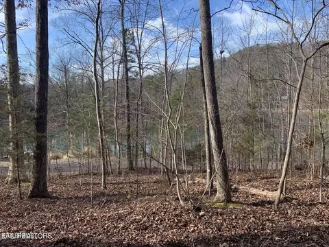 170 Laurel Lake Cir, Madisonville, TN 37354