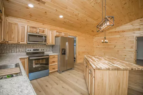 161 Duke Ln, Luttrell, TN 37779 photo 6