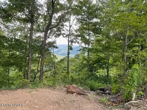 0 Buffalo Rd Stanley Crk, Huntsville, TN 37756
