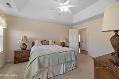 8437 Reality Ln, Corryton, TN 37721 photo 9