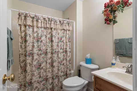 8437 Reality Ln, Corryton, TN 37721 photo 13
