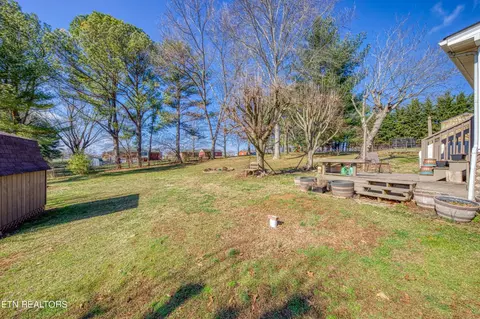 535 Jerry Dr, Talbott, TN 37877 photo 31