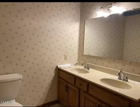 355 Grapevine Tr, Greeneville, TN 37745 photo 29
