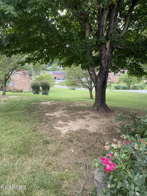 355 Grapevine Tr, Greeneville, TN 37745 photo 18