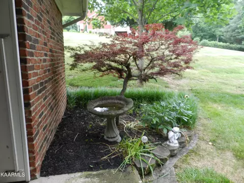 355 Grapevine Tr, Greeneville, TN 37745 photo 14