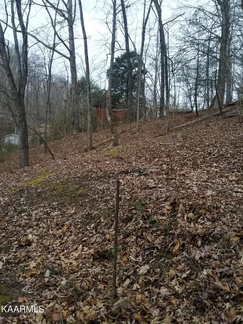 103 Maple Tree Ln, Powell, TN 37849 photo 28