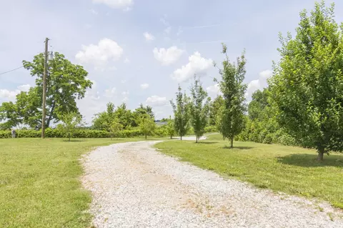 2558 May Rd, Talbott, TN 37877 photo 31