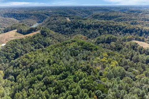 0 Shores Rd, Silver Point, TN 38582 photo 22