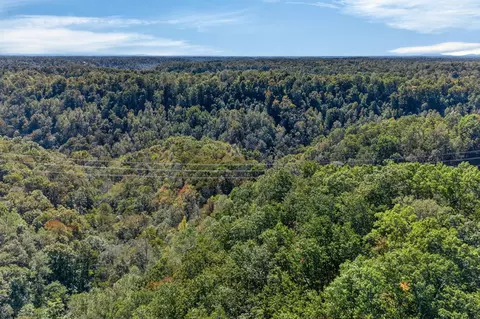0 Shores Rd, Silver Point, TN 38582 photo 23