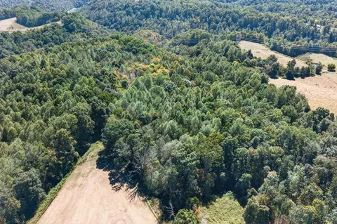 0 Shores Rd, Silver Point, TN 38582 photo 4