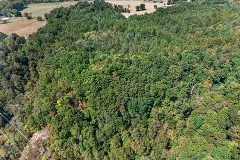 0 Shores Rd, Silver Point, TN 38582 photo 17