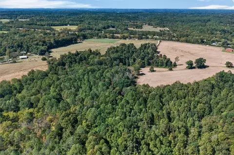 0 Shores Rd, Silver Point, TN 38582 photo 19