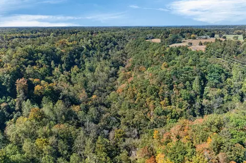 0 Shores Rd, Silver Point, TN 38582 photo 15